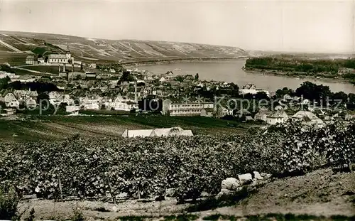 AK / Ansichtskarte Nierstein_Rhein Panorama Nierstein_Rhein