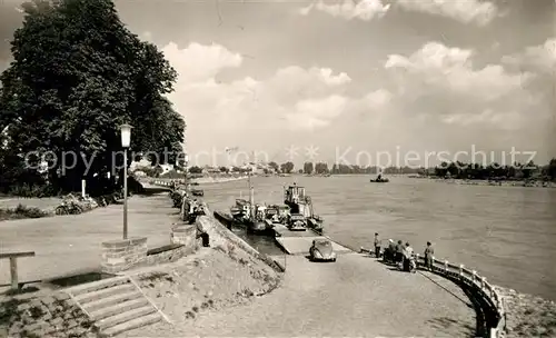 AK / Ansichtskarte Speyer_Rhein An der Rheinfaehre Speyer Rhein