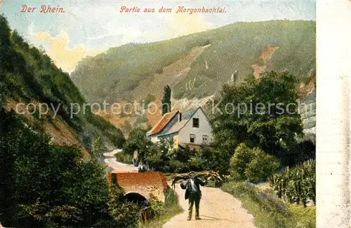 AK / Ansichtskarte Assmannshausen_Rhein Partie aus dem Morgenbachtal Assmannshausen Rhein