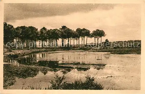 AK / Ansichtskarte Mimizan_Landes Etang d`Aureilhan Mimizan_Landes