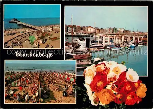 AK / Ansichtskarte Blankenberge Strand Seebruecke Hafen Blumen Blankenberge