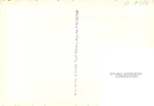 AK / Ansichtskarte Wehlen_Sachsen Teilansicht Wehlen_Sachsen