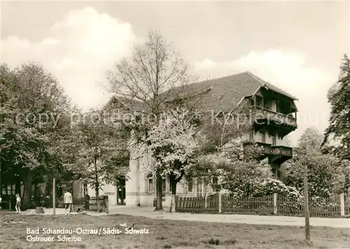 AK / Ansichtskarte Bad_Schandau Ostrauer Scheibe Bad_Schandau