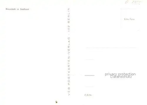 AK / Ansichtskarte Neustadt_Sachsen Fliegeraufnahme Neustadt_Sachsen