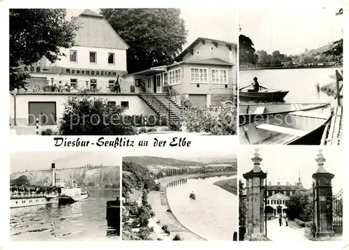 AK / Ansichtskarte Diesbar Seusslitz HOG Rosengarten Elbepartien Schloss Diesbar Seusslitz
