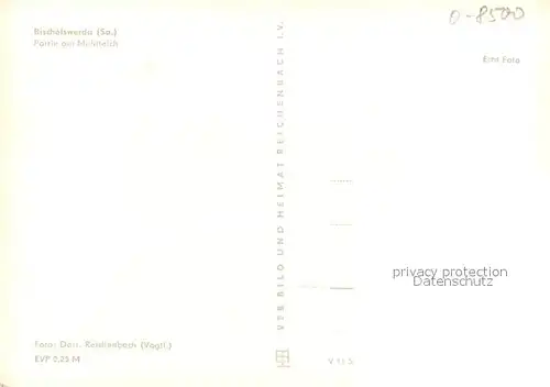 AK / Ansichtskarte Bischofswerda Partie am Muehlteich Bischofswerda