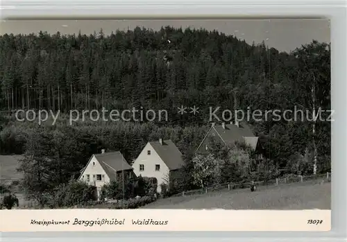 AK / Ansichtskarte Berggiesshuebel Waldhaus Berggiesshuebel