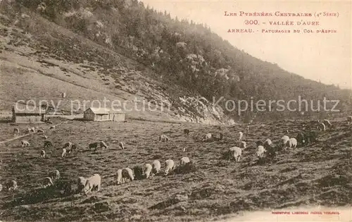 AK / Ansichtskarte Arreau Vallee dAure Paturages du Col d Aspin Arreau