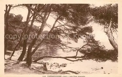 AK / Ansichtskarte Carqueiranne Les Pins fenches Carqueiranne