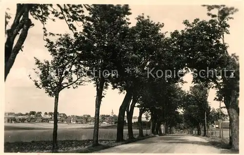 AK / Ansichtskarte Reichmannsdorf_Neuhaus Baumallee Landschaftspanorama Handabzug Reichmannsdorf Neuhaus