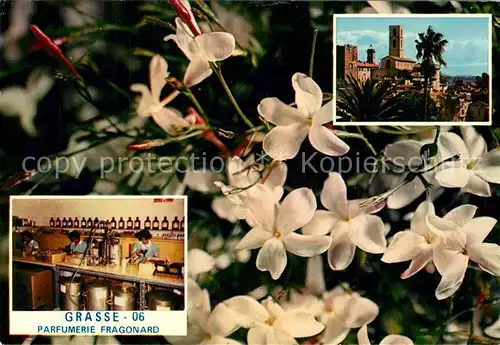 AK / Ansichtskarte Grasse_Alpes_Maritimes Cit? des Fleurs et des Parfums Cathedrale Grasse_Alpes_Maritimes