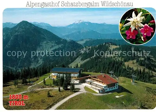 AK / Ansichtskarte Thierbach_Wildschoenau Alpengasthof Schatzbergalm Alpenflora Edelweiss Alpenpanorama Fliegeraufnahme Thierbach Wildschoenau