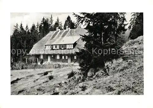 AK / Ansichtskarte St_Blasien Pension Forsthaus Ibach St_Blasien