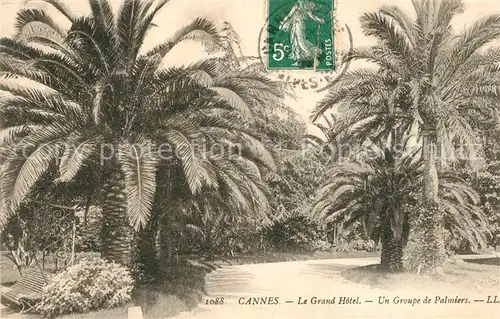 AK / Ansichtskarte Cannes_Alpes Maritimes Le Grand Hotel Un Groupe de Palmiers Cannes Alpes Maritimes