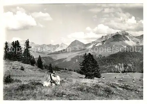 AK / Ansichtskarte Arosa_GR Panorama ob Praetschli Arosa_GR