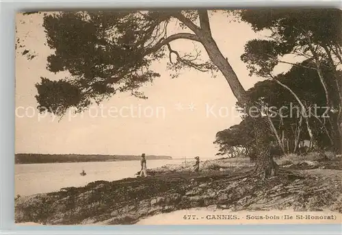 AK / Ansichtskarte Cannes_Alpes Maritimes Sous bois Ile St Honorat Cannes Alpes Maritimes