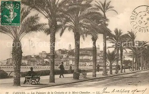 AK / Ansichtskarte Cannes_Alpes Maritimes Les Palmiers de la Croisette et le Mont Chevalier Cannes Alpes Maritimes