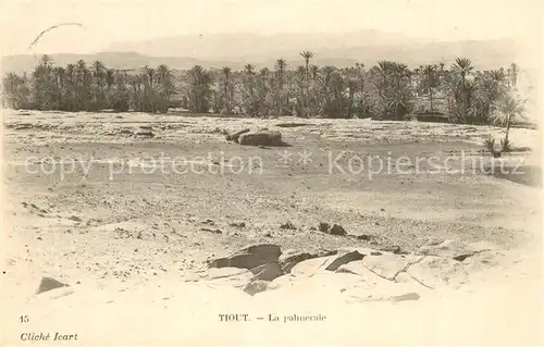 AK / Ansichtskarte Tiout La palmerale Tiout