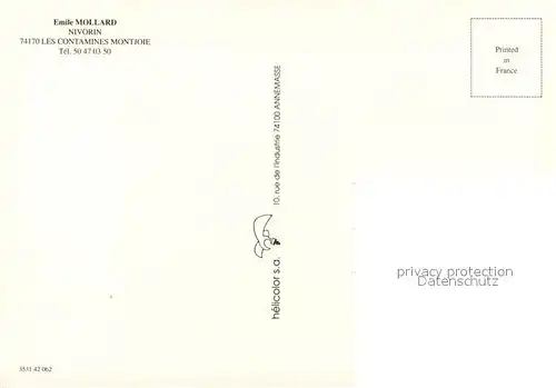 AK / Ansichtskarte Nivorin Vue aerienne 