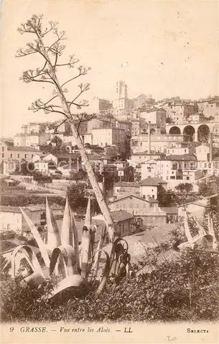 AK / Ansichtskarte Grasse_Alpes_Maritimes Vue entre les Aloes Grasse_Alpes_Maritimes