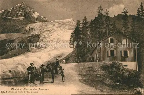 Chamonix Chalet et Glacier des Bossons Chamonix
