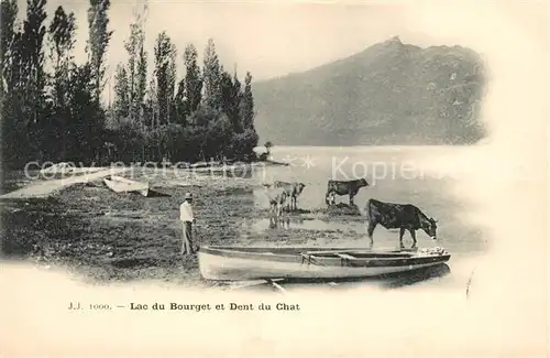 AK / Ansichtskarte Aix les Bains Lac du Bourget et Dent du Chat Aix les Bains