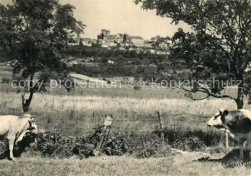 AK / Ansichtskarte Langres Vue generale des vaches Langres