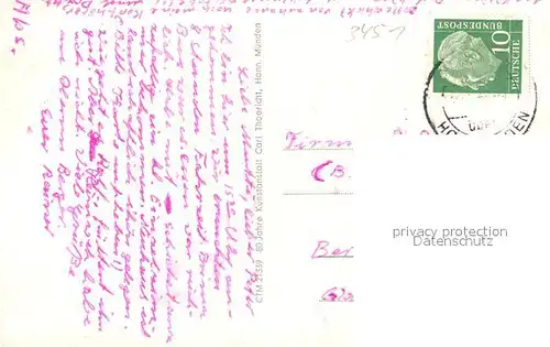 AK / Ansichtskarte Neuhaus_Solling Landschaftspanorama Trakehner Pferde Muehlenberger Tal Lakenhausteich Holzmindetal Jugendherberge Neuhaus Solling