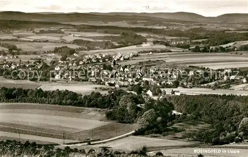 AK / Ansichtskarte Boesingfeld Panorama Boesingfeld