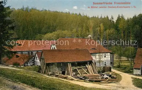 AK / Ansichtskarte Eisenberg_Thueringen Sommerfrische Froschmuehle im Muehltal Eisenberg Thueringen