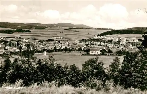 AK / Ansichtskarte Weidenhausen_Gladenbach Panorama Weidenhausen_Gladenbach