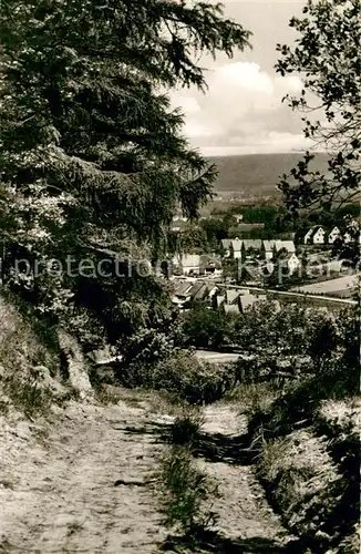 AK / Ansichtskarte Bruchhausen_Hoexter Waldweg Blick ins Tal Bruchhausen Hoexter