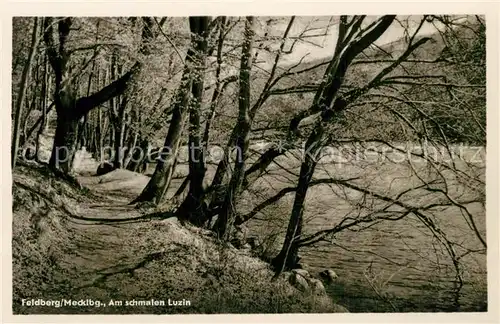 AK / Ansichtskarte Feldberg_Mecklenburg Partie am schmalen Luzin Feldberg_Mecklenburg