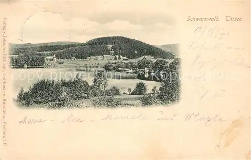AK / Ansichtskarte Titisee Panorama Schwarzwald Titisee
