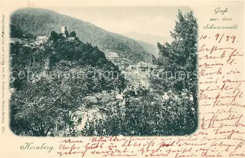 AK / Ansichtskarte Hornberg_Schwarzwald Panorama Hornberg Schwarzwald