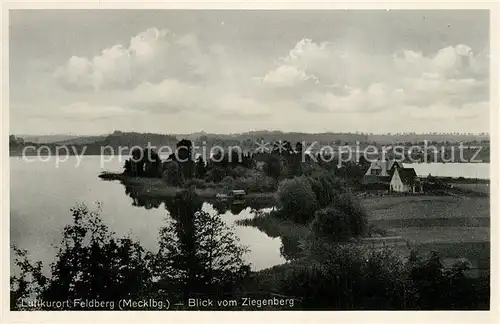 AK / Ansichtskarte Feldberg_Mecklenburg Panorama Blick vom Ziegenberg Feldberg_Mecklenburg