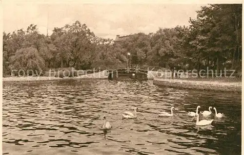 AK / Ansichtskarte Hamburg Aussenalster Schwaene Heliogravuere Nr 14 Hamburg