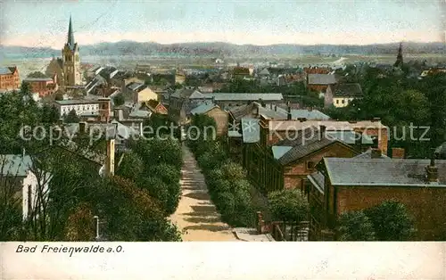 AK / Ansichtskarte Bad_Freienwalde Stadtpanorama Bad_Freienwalde