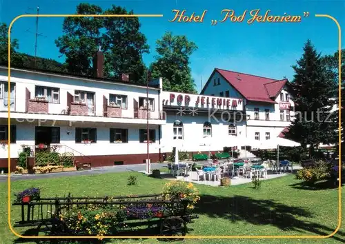 AK / Ansichtskarte Swieradow_Zdroj_Bad_Flinsberg Kurhotel Pod Jeleniem Zum Hirsch Swieradow_Zdroj