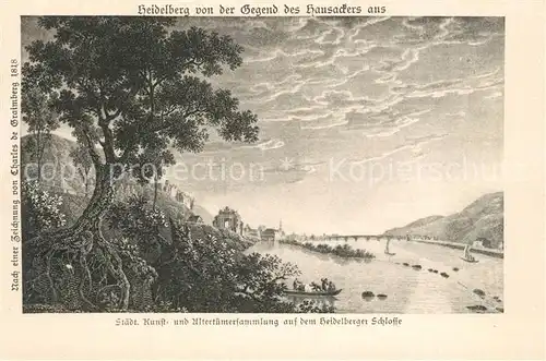 AK / Ansichtskarte Heidelberg_Neckar Blick vom Hausacker Heidelberg Neckar