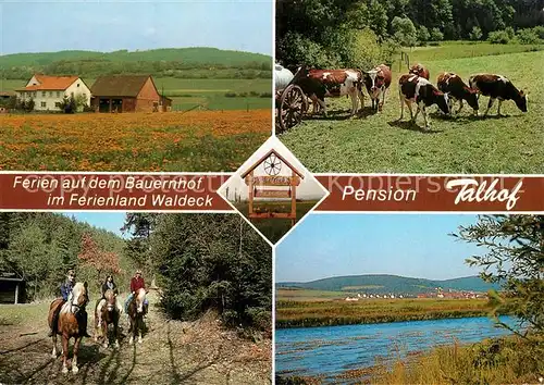 AK / Ansichtskarte Wellen_Waldeck Reiterparadies Talhof Reiterbauernhof Kuehe Partie am Fluss Wellen_Waldeck