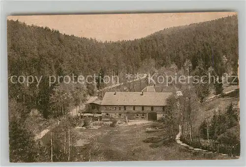 AK / Ansichtskarte Eisenberg_Thueringen Froschmuehle im Muehltal Eisenberg Thueringen