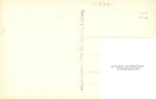 AK / Ansichtskarte Heidelberg_Neckar Panorama Schlossruine Heidelberg Neckar