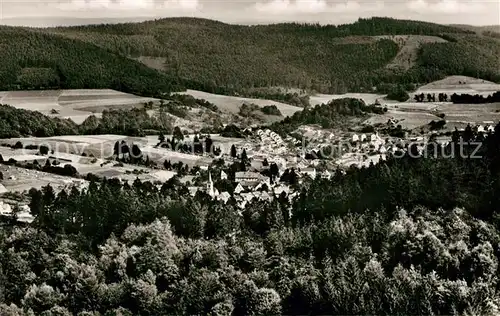 AK / Ansichtskarte Waldmichelbach Panorama Waldmichelbach