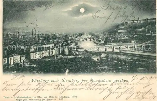 AK / Ansichtskarte Wuerzburg Blick vom Steinberg Wuerzburg