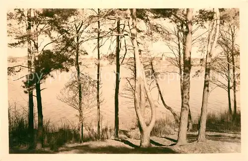 AK / Ansichtskarte Motzen_Mittenwalde_Mark Panorama Motzen_Mittenwalde_Mark