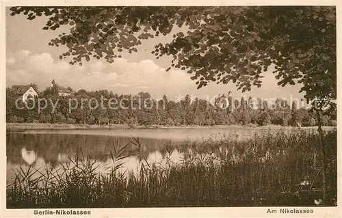 AK / Ansichtskarte Nikolassee Uferpartie am Nikolassee Nikolassee