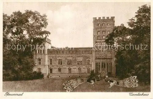 AK / Ansichtskarte Wannsee Pfaueninsel Cavalierhaus Pfau Kupfertiefdruck Wannsee