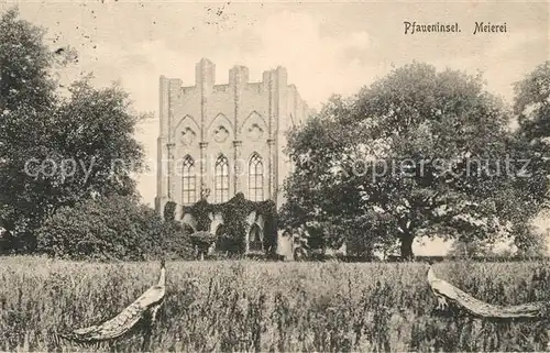 AK / Ansichtskarte Potsdam Meierei auf der Pfaueninsel Pfau Potsdam