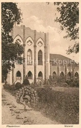 AK / Ansichtskarte Wannsee Meierei auf der Pfaueninsel Pfau Wannsee